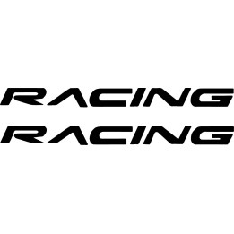 Buy Chevrolet Racing Decal Sticker Online