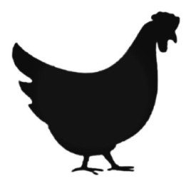 Chicken Stickers – Hen Silhouette Farm Decals (2-Pack)
