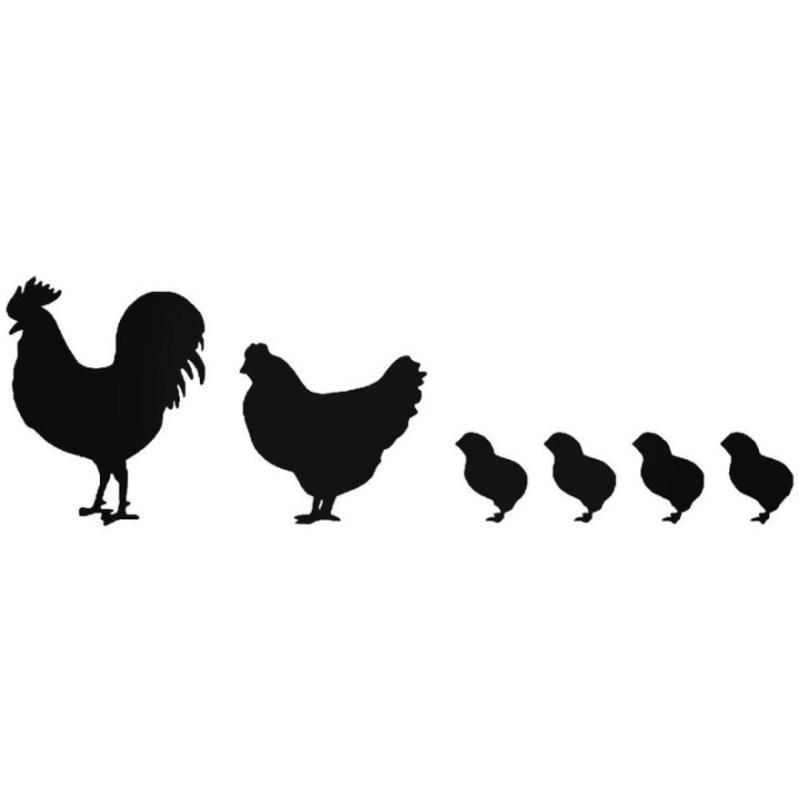 Chicken Family Stickers – Rooster Hen Chicks Decals (2-Pack)