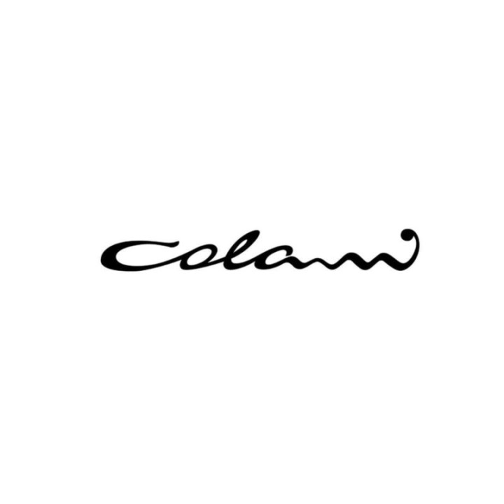 Buy Citroen Colani Vinyl Decal Sticker Online