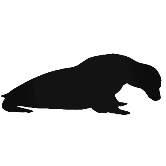 Seal Sea Lion 1 Decal Sticker