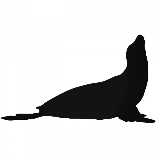 Seal Sea Lion 2 Decal Sticker