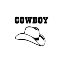 Cowboy Hat Stickers – Western Rodeo Decals (2-Pack)