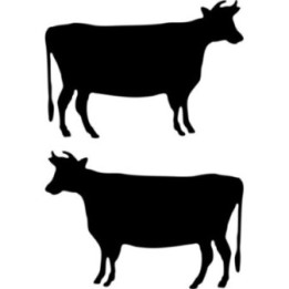 Cow Stickers – Cattle Silhouette Livestock Decals (2-Pack)