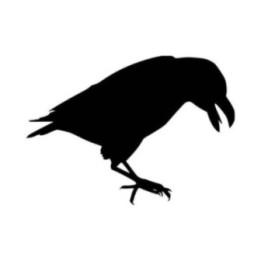 Buy Crow Raven Blackbird V Vinyl Decal Sticker Online
