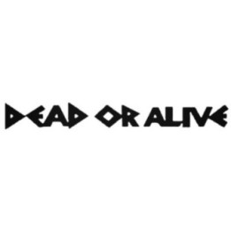 Dead or Alive Stickers – You Spin Me Round Decals (2-Pack)