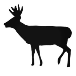 Buy Deer Hunting S Style 530 Decal Sticker Online