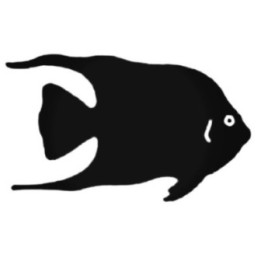 Angelfish Silhouette Stickers – Tropical Fish Decals (2-Pack)