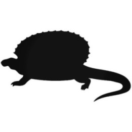 Buy Dimetrodonte Dinosaur Sticker Online