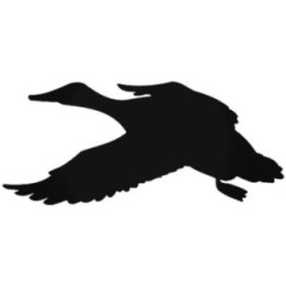 Buy Duck 3 Sticker Online