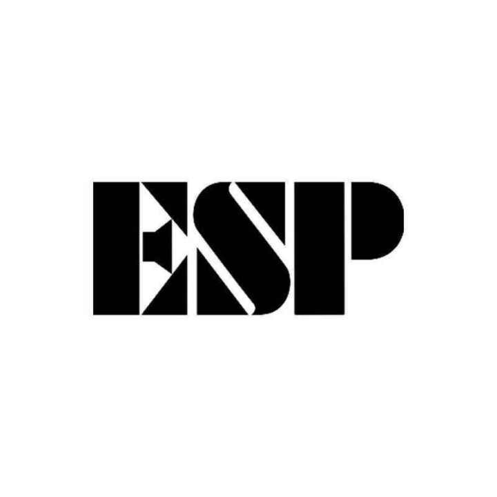 ESP Guitars Stickers – LTD EC-1000 Eclipse Decals (2-Pack)