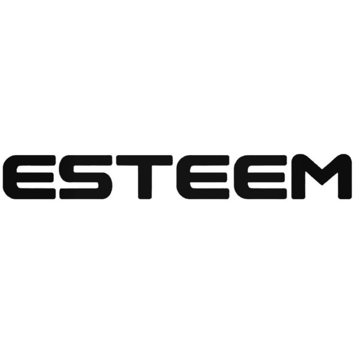 Buy Esteem Graphic Decal Sticker Online