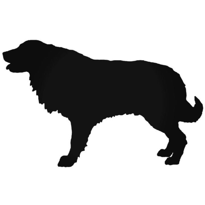 Buy Estrela Dog Sticker Online
