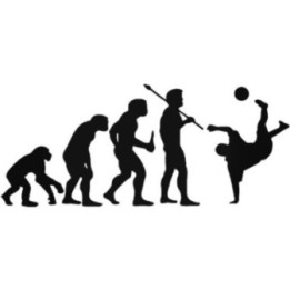 Buy Evolution Of Soccer Futbol Sports Decal Sticker Online