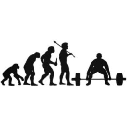 Buy Evolution Of Weight Lifting Sticker Online