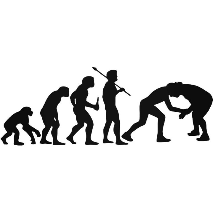 Buy Evolution S Greco Roman Wrestling Evolution Decal Online