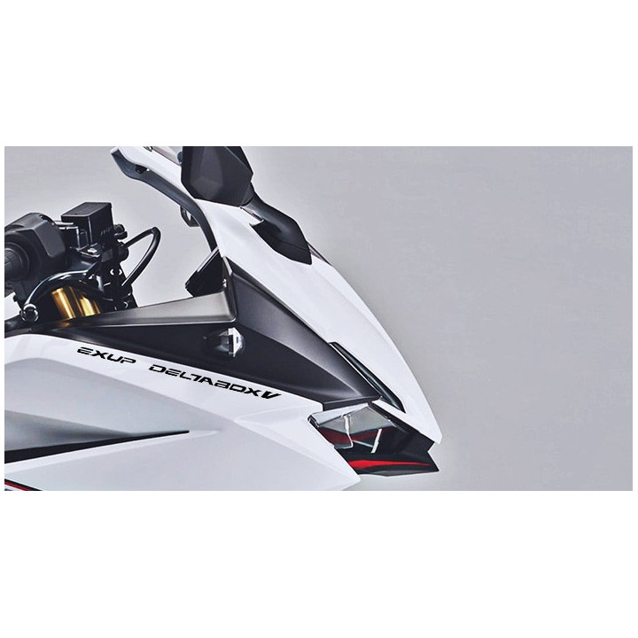 Buy Exup Deltabox V Decal Sticker Online