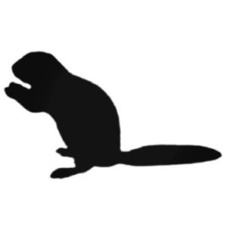 Buy Ferret Feeding Decal Sticker Online
