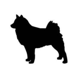 Buy Finnish Spitz Dog Sticker Online