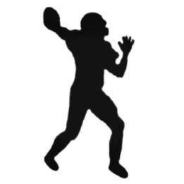 Buy Football Quarterback Decal Sticker Online