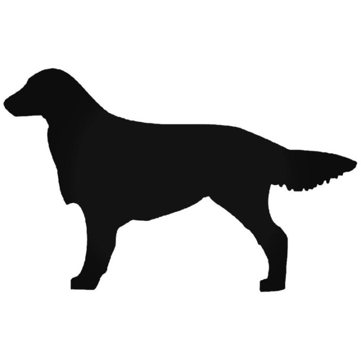 Buy French Spaniel Dog Sticker Online