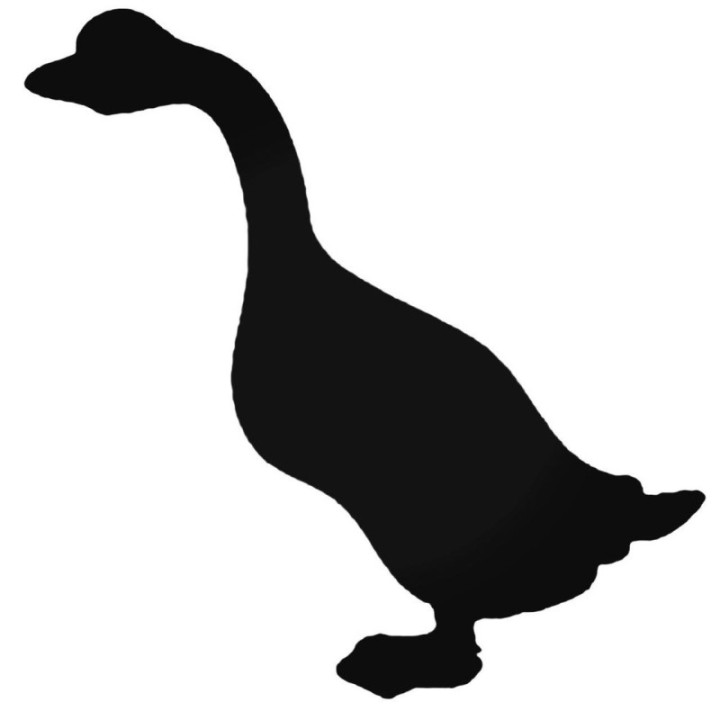 Goose Silhouette Stickers – Bird Wildlife Decals (2-Pack)