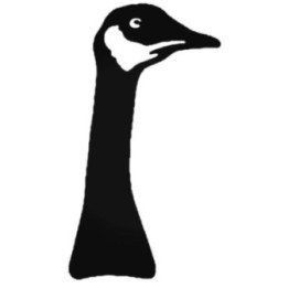Canada Goose Stickers – Bird Silhouette Decals (2-Pack)