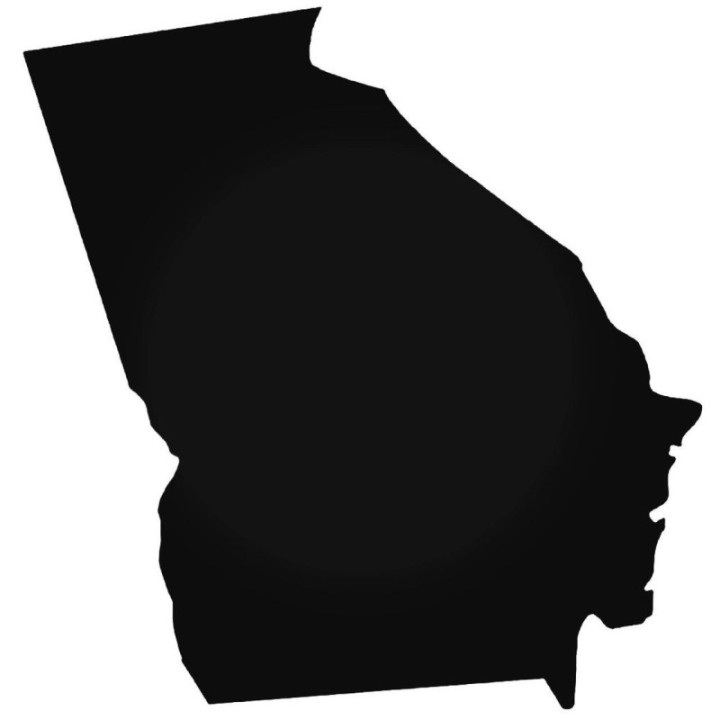 Buy Georgia Home State Decal Sticker Online