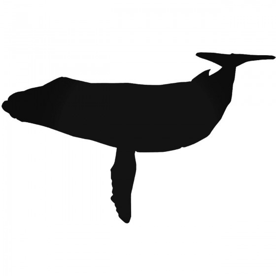 Whale 028 Decal