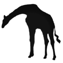 Buy Giraffe Bending Down Decal Sticker Online