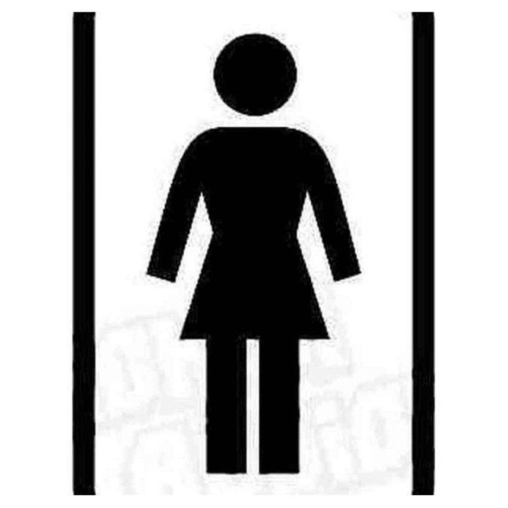 Buy Girl Skateboard Distribution Decal Sticker Online