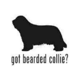Buy Got Bearded Collie Dog Silhouette Decal Sticker Online