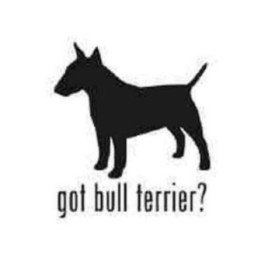 Buy Got Bull Terrier Dog Silhouette Decal Sticker Online