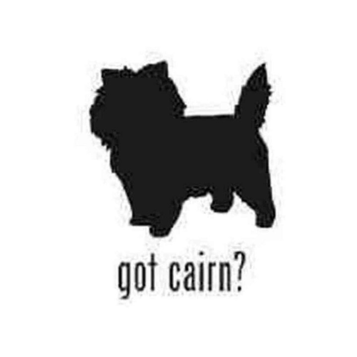 Buy Got Cairn Terrier Dog Silhouette Decal Sticker Online