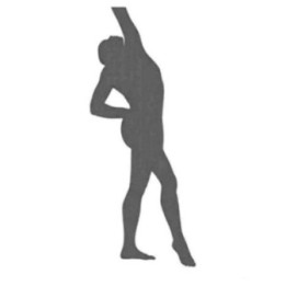 Buy Got Gymnastics Olympic 3 Sticker Online