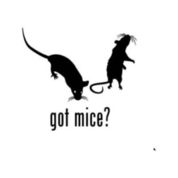 Buy Got Mice Pet Sticker Online