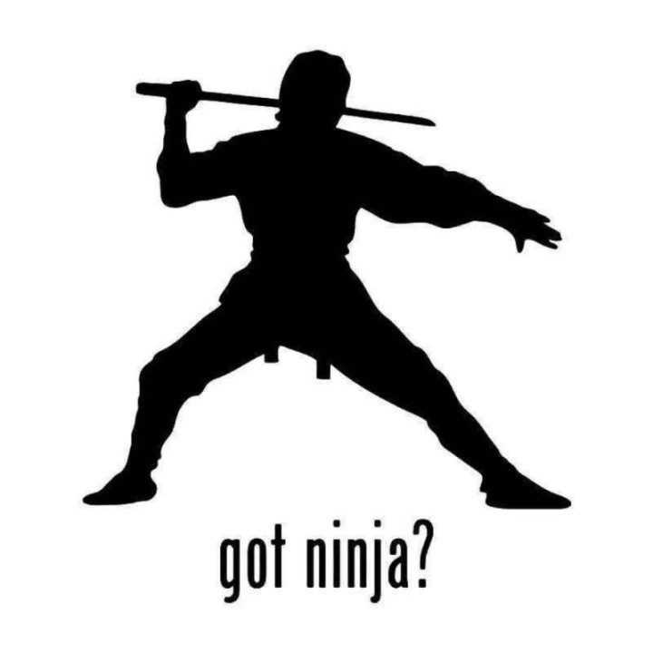 Got Ninja? Stickers – Katana Silhouette Decals (2-Pack)