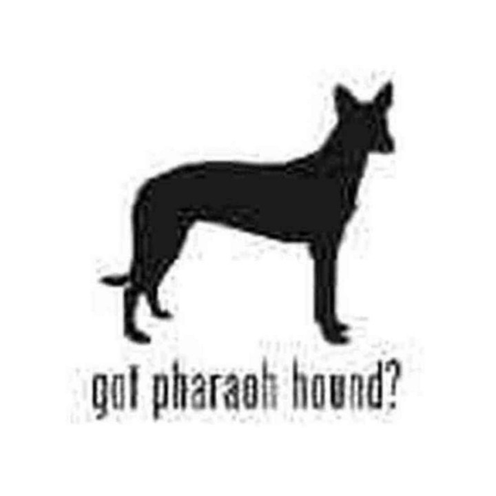 Buy Got Pharaoh Hound Dog Decal Sticker Online