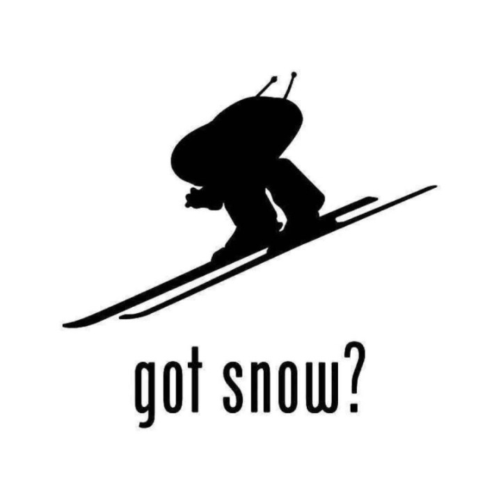 Buy Got Snow Skiing 2 Sticker Online