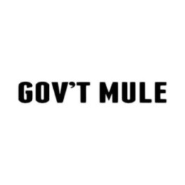 Gov't Mule Stickers – Warren Haynes Band Decals (2-Pack)