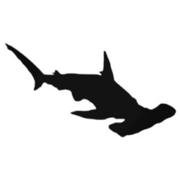 Hammerhead Shark Stickers – Sea Life Decals (2-Pack)