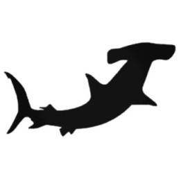 Hammerhead Shark Stickers – Ocean Sea Life Decals (2-Pack)