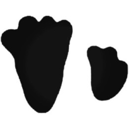 Buy Hare Tracks Paw Print Decal Sticker Online