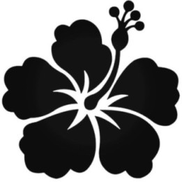 Hawaiian Hibiscus Flower Stickers – Tropical Decals (2-Pack)