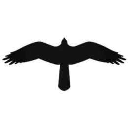 Buy Hawk 2 Decal Sticker Online