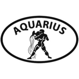 Aquarius Zodiac Stickers – Star Sign Decals (2-Pack)