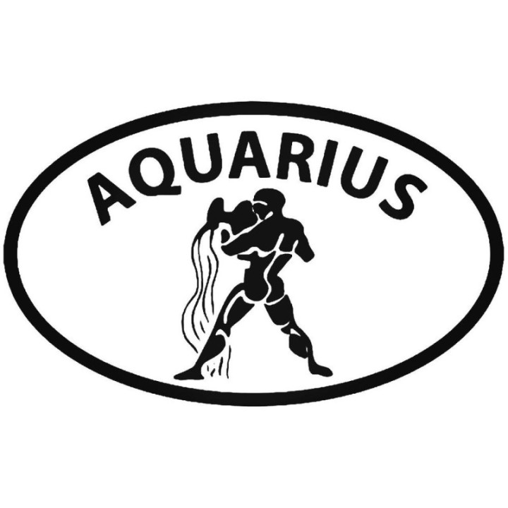 Aquarius Zodiac Stickers – Star Sign Decals (2-Pack)