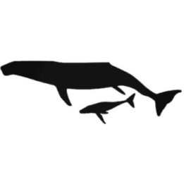 Humpback Whale Stickers – Mother & Calf Decals (2-Pack)