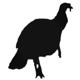 Wild Turkey Silhouette Stickers – Hunting Decals (2-Pack)