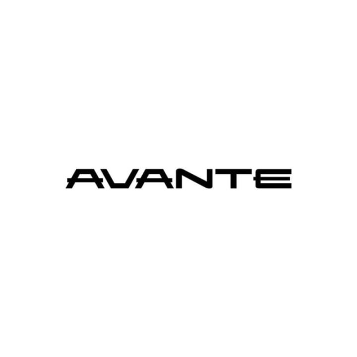 Buy Hyundai Avante Vinyl Decal Sticker Online